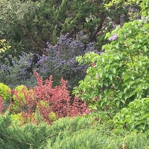 Meet your Posher, Judy